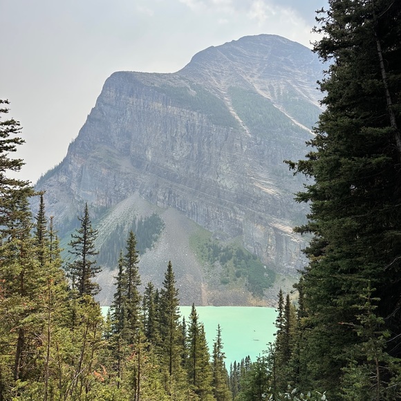 Meet your Posher, Calvin c - Picture 1 of 1